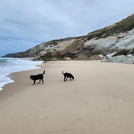 דירה Silver Coast Luxe With 3 Bedrooms, 2 Bathrooms And A Beautiful View On The Swimmingpool In A Cosy Coastvillage Between The Famous Surfplaces Peniche And Nazare